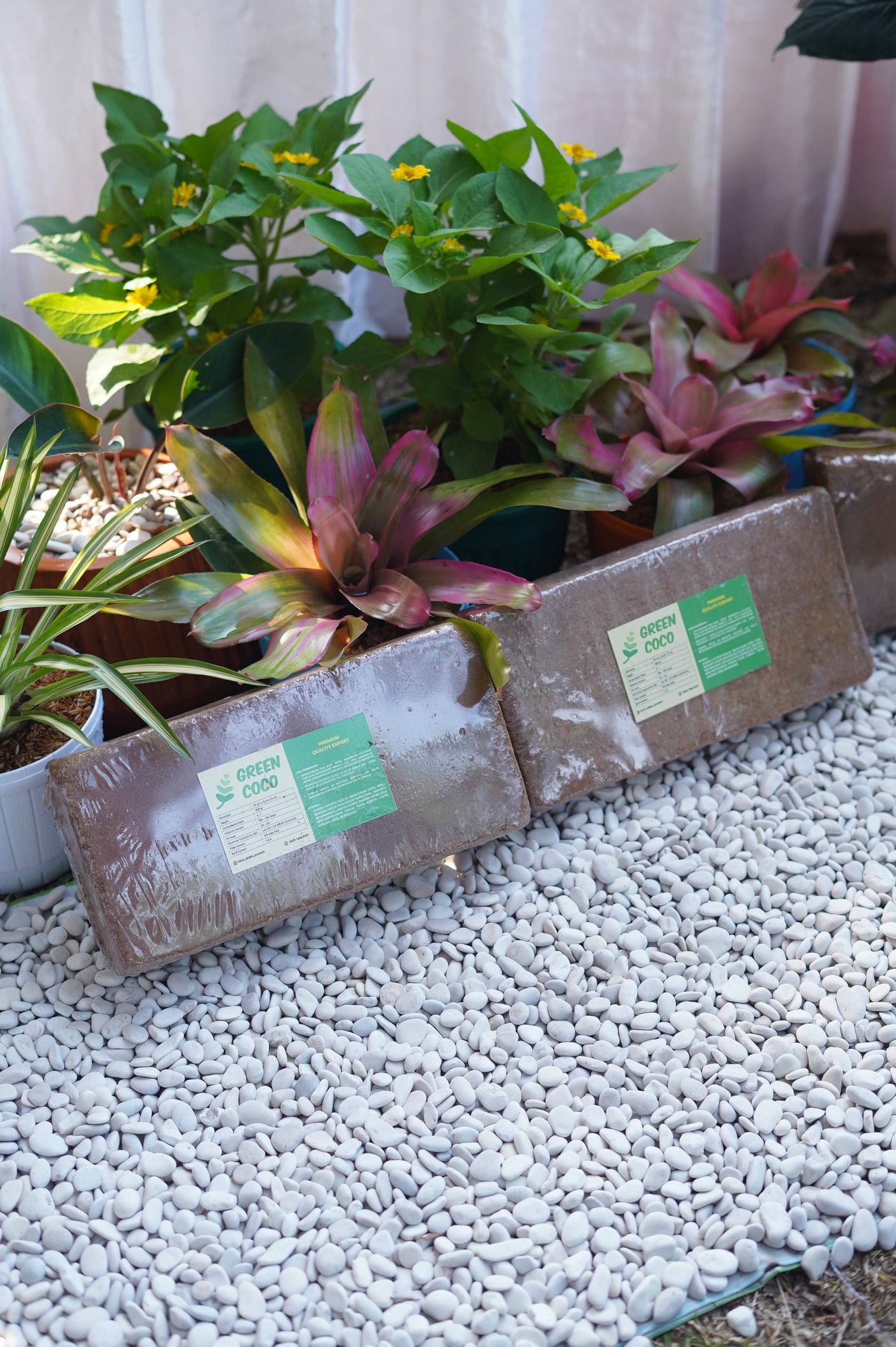 Green Coco Mandiri cocopeat blocks